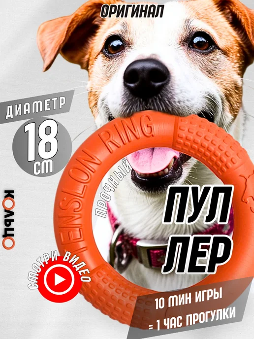 PETSTEP Игрушка для собак, пуллер - кольцо прочное 18 см, вариант