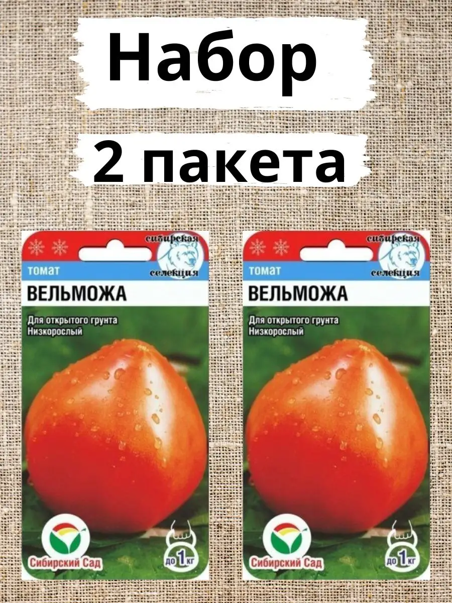 Томат Вельможа Отзывы Фото