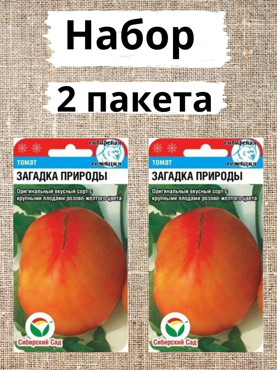 Помидоры загадка отзывы фото. Семена помидор загадка природы. Томат загадка. Томат загадка природы. Томат загадка природы фото.