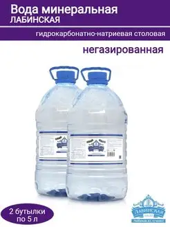 Питьевая вода 5 л, негазированная Лабинская 104890419 купить за 453 ₽ в интернет-магазине Wildberries