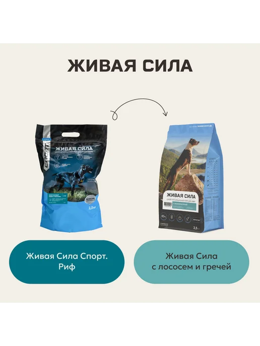 Сухой корм Живая сила для собак, беззерновой, лосось, 2,5 кг, фото 2