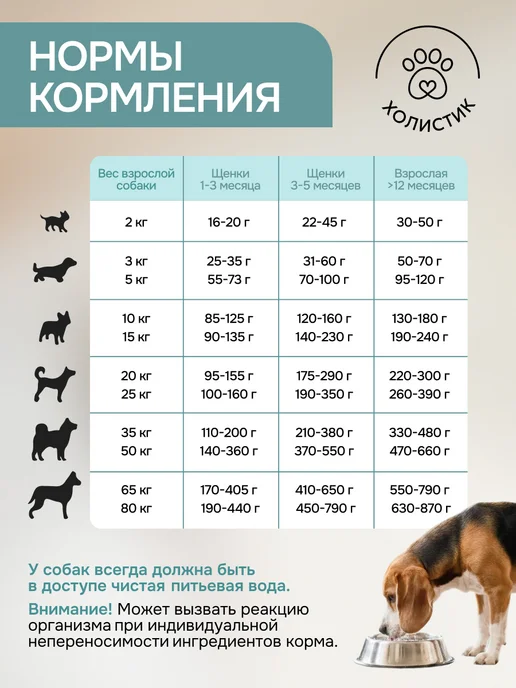 Сухой корм Живая сила для собак, беззерновой, лосось, 2,5 кг, фото 7