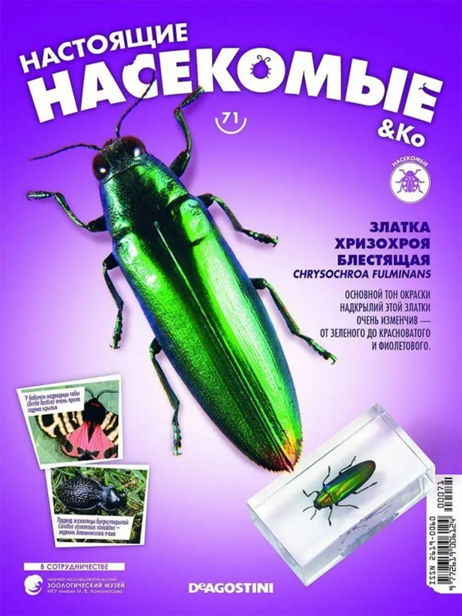 Журнал Настоящие Насекомые 5 шт.5 насекомых + кейс в подарок DeAgostini  104977616 купить в интернет-магазине Wildberries