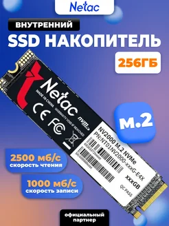 Внутренний SSD диск 256 ГБ NV2000 M.2 2280 NETAC 105004705 купить за 2 662 ₽ в интернет-магазине Wildberries