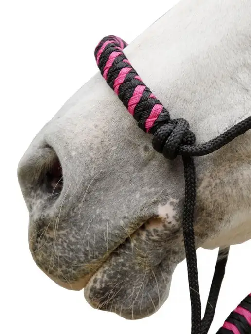 Sweethorse Недоуздок веревочный с чомбуром, вариант, фото 3