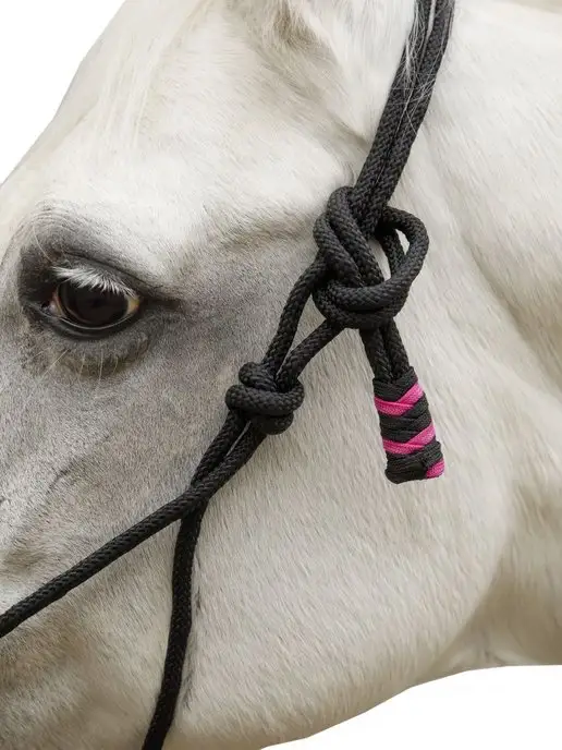 Sweethorse Недоуздок веревочный с чомбуром, вариант, фото 4