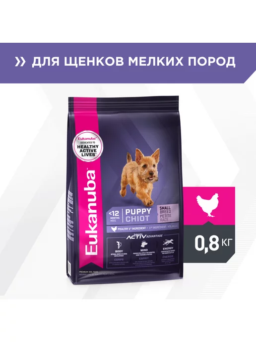 Сухой корм Eukanuba Маленьких для собак, щенки, 0,8 кг, фото 3