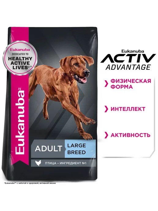 Сухой корм Eukanuba для собак, крупные, 3 кг, фото 4