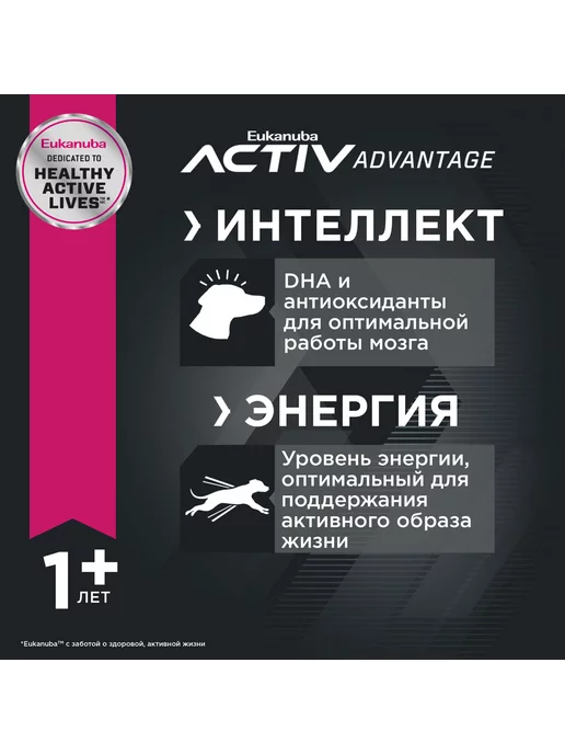 Сухой корм Eukanuba для собак, крупные, 3 кг, фото 5