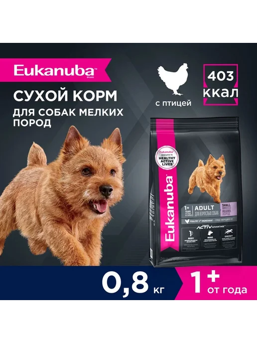 Сухой корм Eukanuba Птица для собак, мелкие, 0,8 кг, фото 2