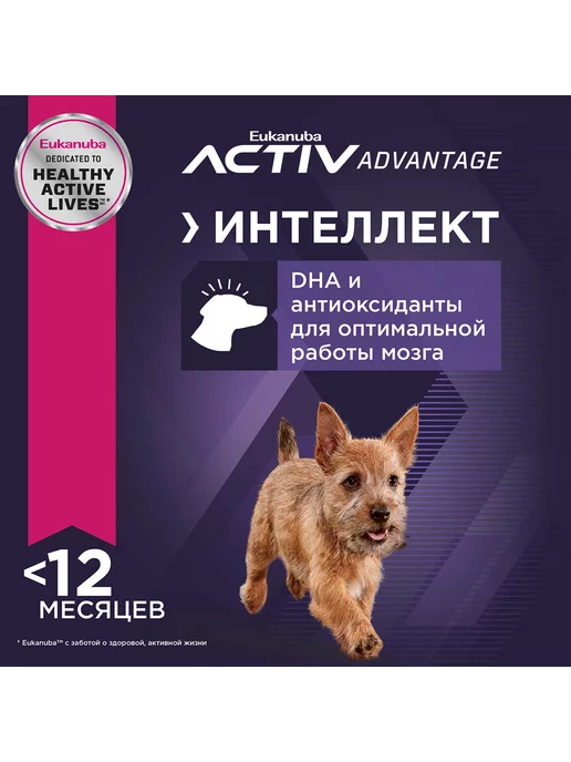 Сухой корм Eukanuba Маленьких для собак, щенки, 10 кг, фото 6