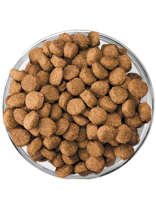 Сухой корм Eukanuba для собак, средние, щенки, 15 кг, фото 4