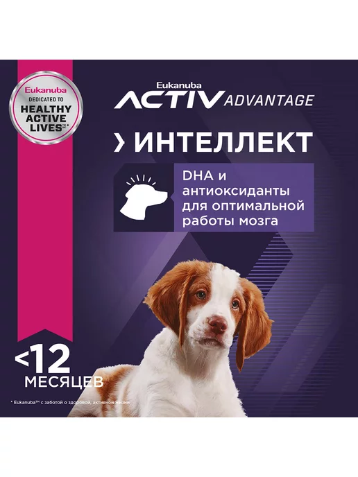 Сухой корм Eukanuba для собак, средние, щенки, 15 кг, фото 5