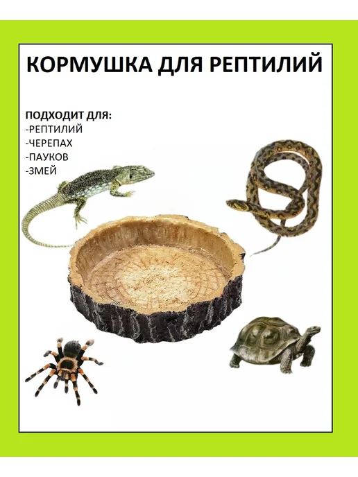The home Кормушка для террариума и аквариума, бежевый
