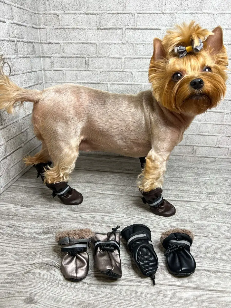 Обувь для собак «Soft» жёлтый
