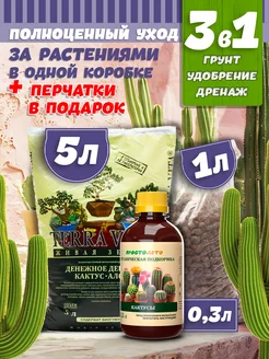 Грунт для кактусов и суккулентов Terra Vita 105085517 купить за 526 ₽ в интернет-магазине Wildberries