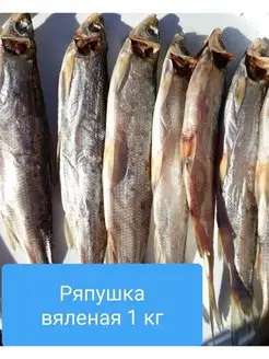 Ряпушка вяленая 1 кг. Goodfish 105219223 купить за 1 343 ₽ в интернет-магазине Wildberries