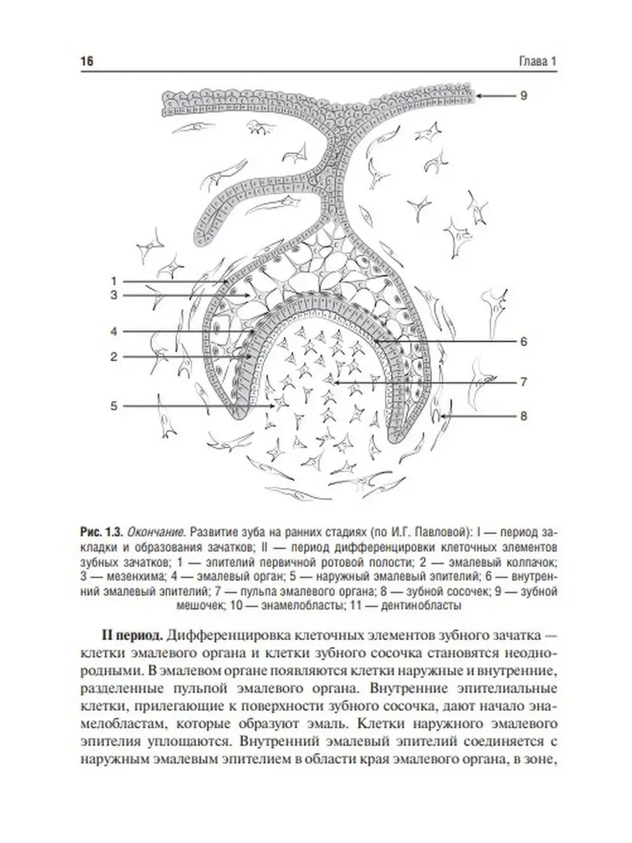 Стоматология детского возраста. Учебное пособие ГЭОТАР-Медиа 105307003  купить за 790 ₽ в интернет-магазине Wildberries