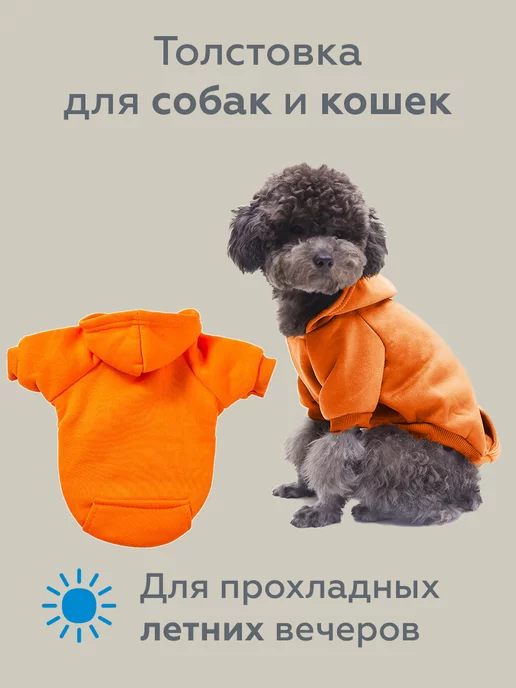Одежда для собак с доставкой по Москве и области