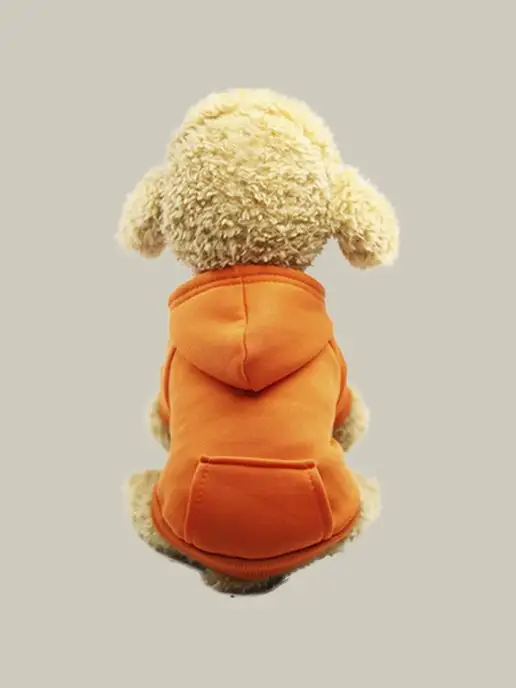 T-Pets Одежда для животных. Кофта толстовка для собак и кошек, оранжевый, фото 4