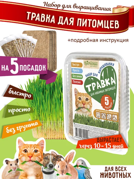 Никольские ПроРостки Трава для КОШЕК в лотке набор для выращивания, вариант