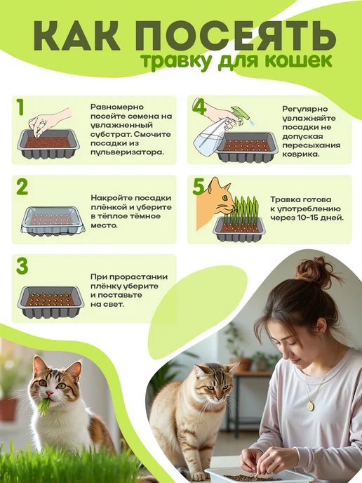Никольские ПроРостки Трава для КОШЕК в лотке набор для выращивания, вариант, фото 2