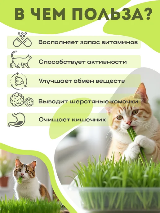 Никольские ПроРостки Трава для КОШЕК в лотке набор для выращивания, вариант, фото 3