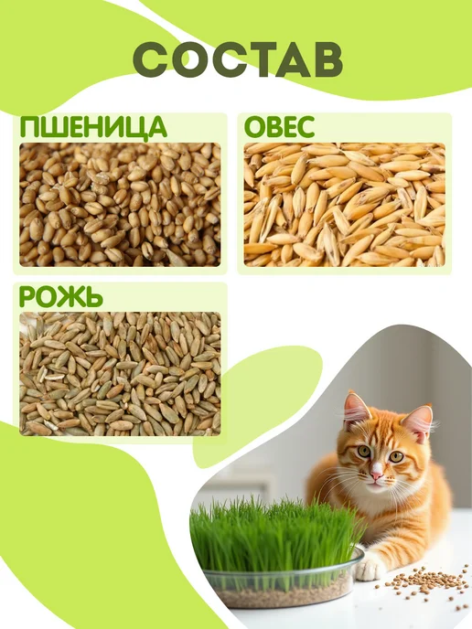 Никольские ПроРостки Трава для КОШЕК в лотке набор для выращивания, вариант, фото 4