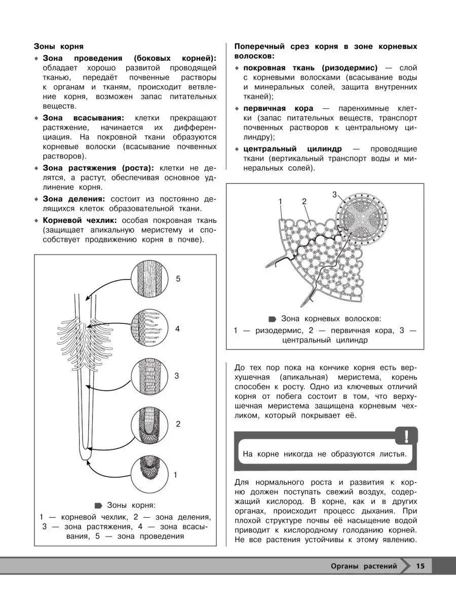 Биология Эксмо 105361134 купить за 348 ₽ в интернет-магазине Wildberries