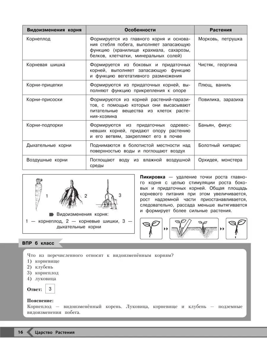 Биология Эксмо 105361134 купить за 348 ₽ в интернет-магазине Wildberries