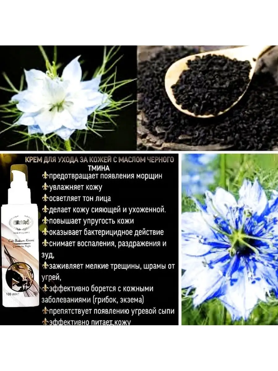 Крем маслом черного тмина Ersag 105412411 купить за 1 110 ₽ в  интернет-магазине Wildberries