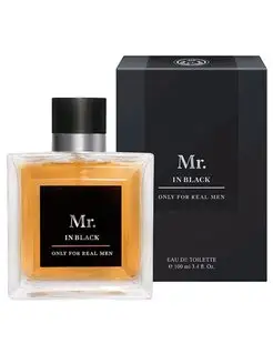 Туалетная вода мужская духи Mr. in Black 100 мл Christine Lavoisier Parfums 105559270 купить за 677 ₽ в интернет-магазине Wildberries