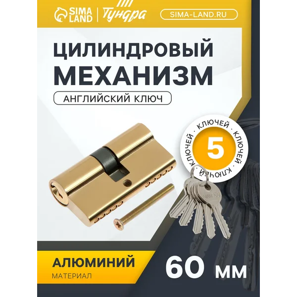 Цилиндровый механизм в дверной замок с 5 ключами