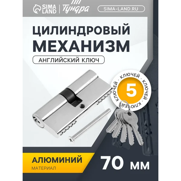 Цилиндровый механизм в дверной замок с 5 ключами