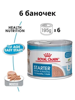 Мусс Starter Mother&Babydog, 6 баночек ROYAL CANIN 105678345 купить за 1 719 ₽ в интернет-магазине Wildberries