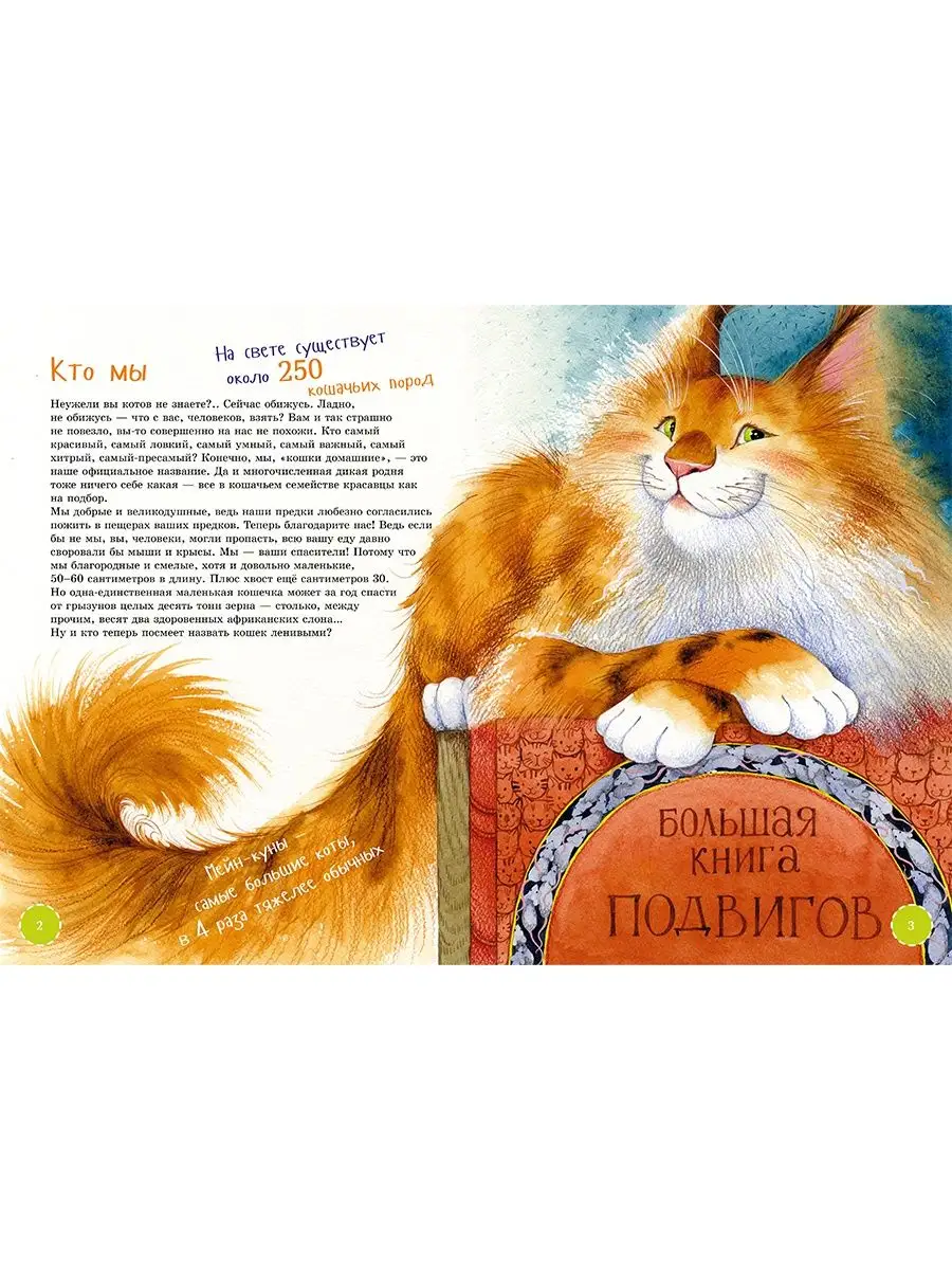 Я кот. Издание с раскрасками Альпина. Книги 105692489 купить за 426 ₽ в  интернет-магазине Wildberries