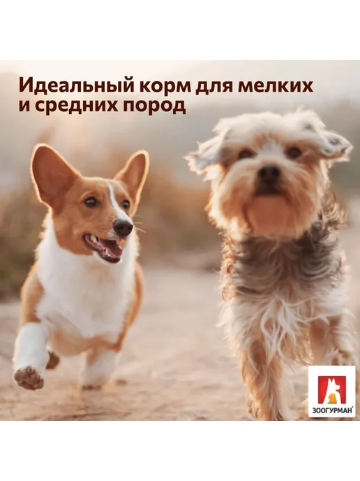 Сухой корм ЗООГУРМАН Urban Life для собак, мелкие, средние, индейка, 1,2 кг, фото 7