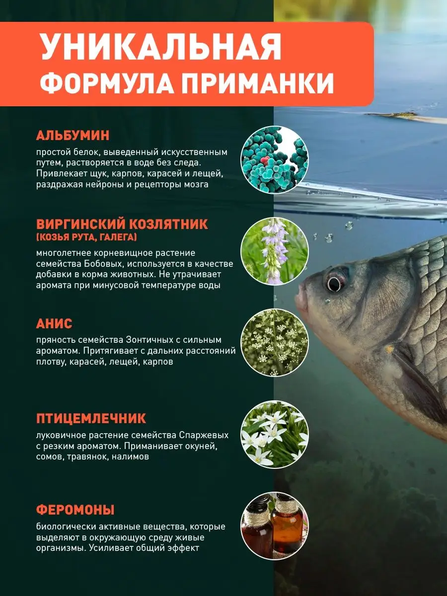 Прикормка для рыб приманка активатор на рыбалку с альбумином Fish Hunt  105825261 купить за 691 ₽ в интернет-магазине Wildberries