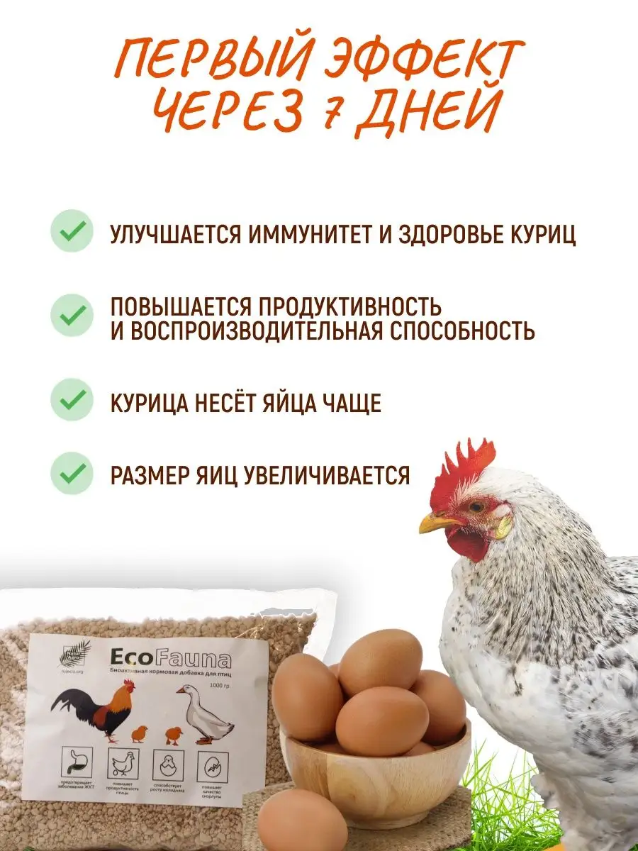 Витамины для кур-несушек для повышения яйценоскости EcoFauna Natur Agro  105844257 купить за 295 ₽ в интернет-магазине Wildberries