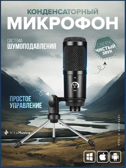 Конденсаторный USB микрофон со штативом VitaMusica 105844778 купить за 992 ₽ в интернет-магазине Wildberries