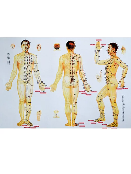 MeridianHealth Массажеры для точечного массажа, желтый, фото 4