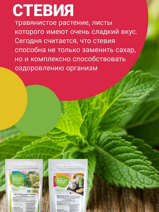 Родник Здоровья Коктейль овсяный со шпинатом для похудения очищение, вариант, фото 6