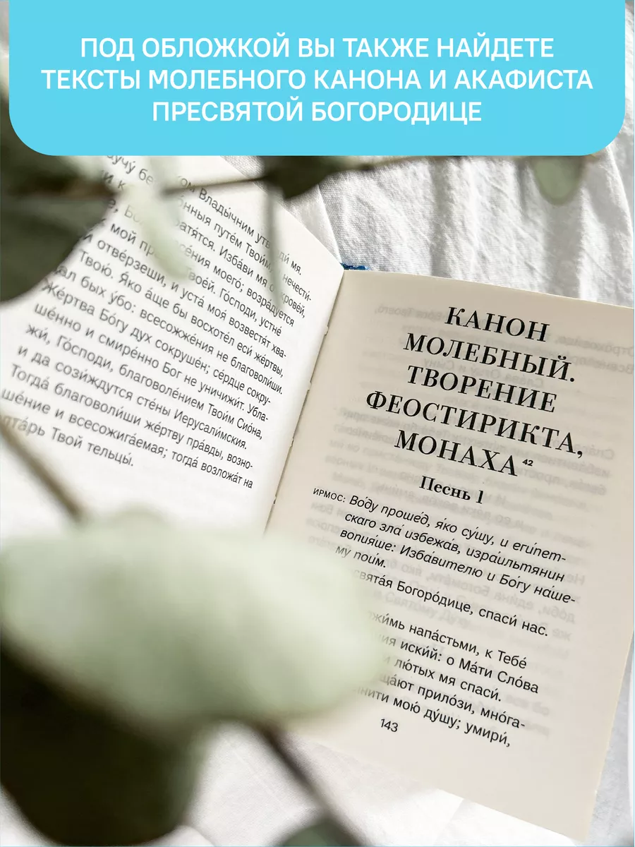 Книга Благословенна Ты в женах / Православие / молитва Никея 105882146  купить за 340 ₽ в интернет-магазине Wildberries