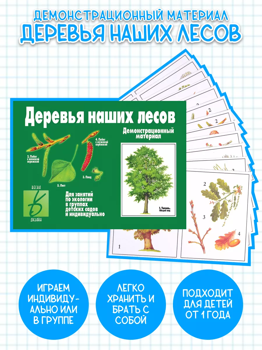 Демонстрационный материал Деревья наших лесов