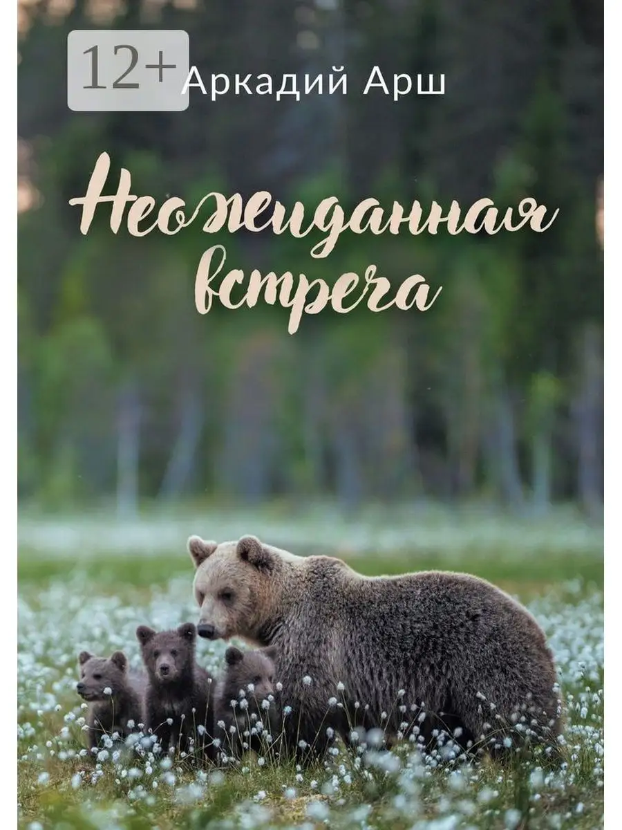 Неожиданная встреча