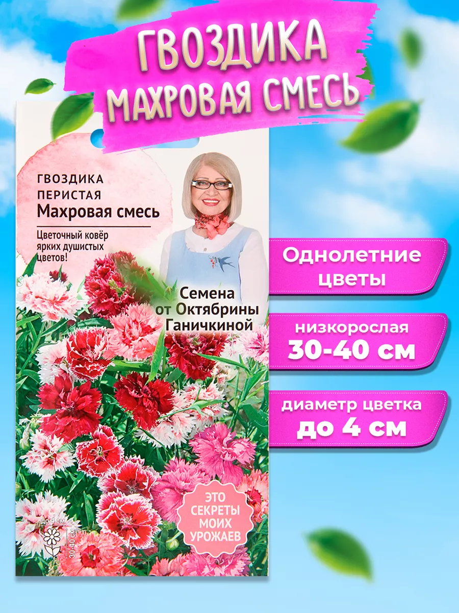 Семена Гвоздика Перистая махровая смесь АГРОСИДСТРЕЙД 106071798 купить в  интернет-магазине Wildberries