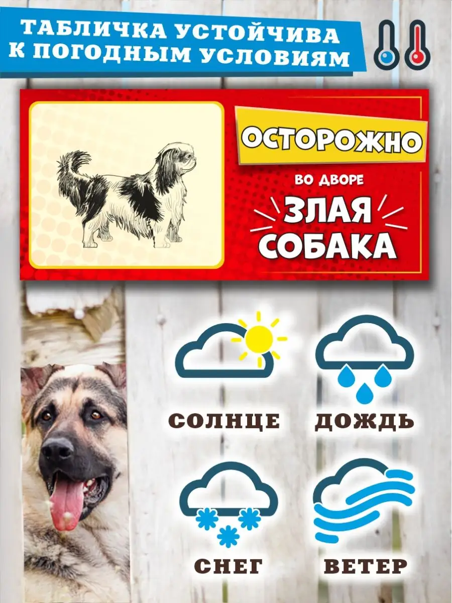 Табличка Злая Собака – купить таблички для интерьера на OZON